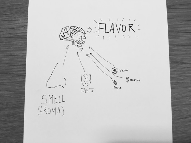 flavor and the senses